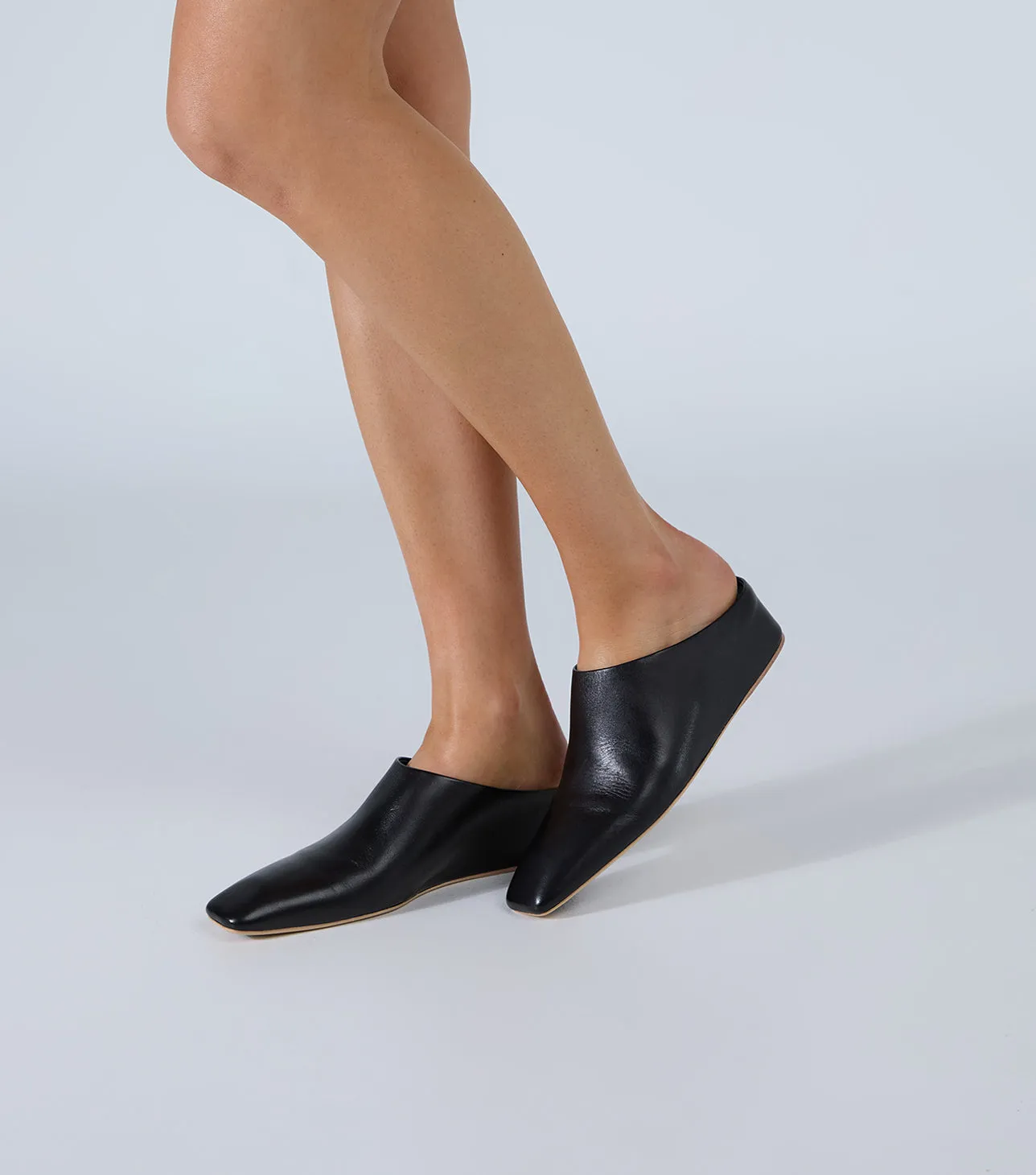 Quo Black Como